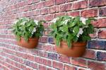 vibia campana wall basket 35cm terra